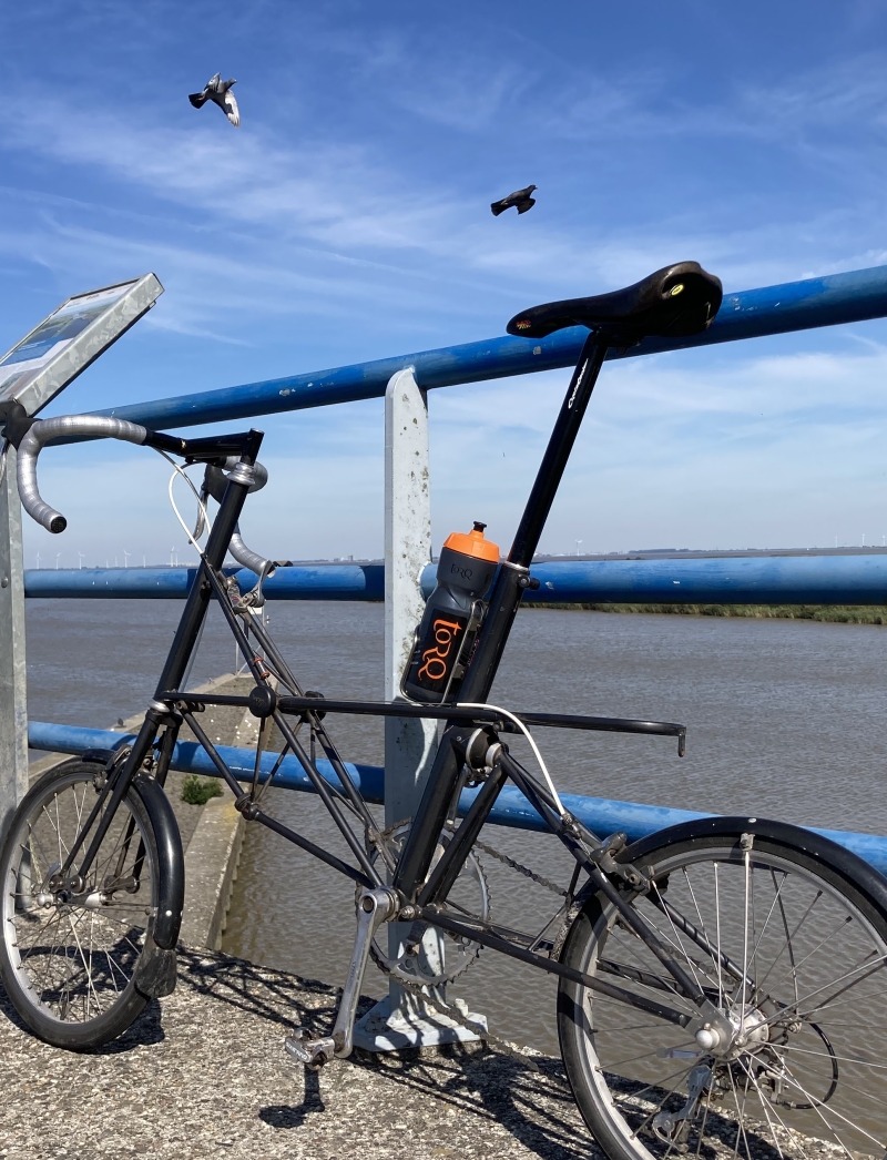 Moulton AM7