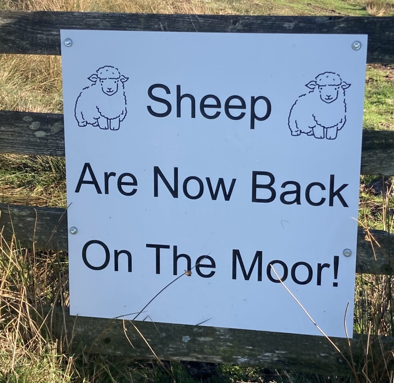 en ik ben er ook weerr